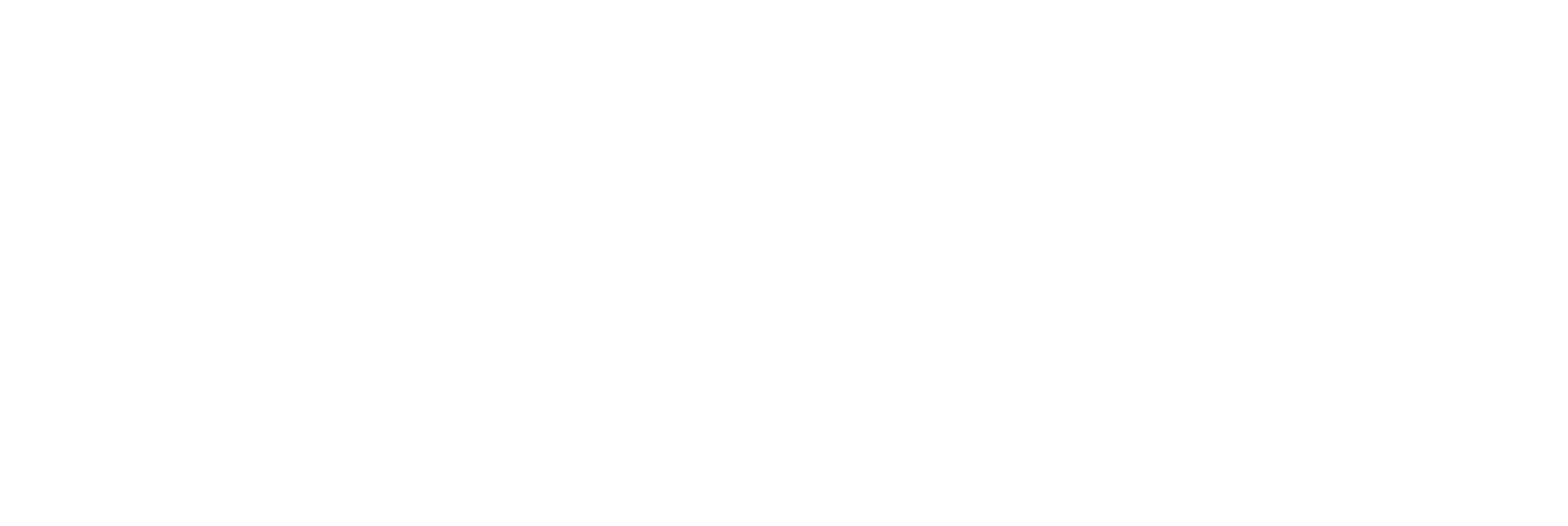 sokkeli-logo-valkoinen